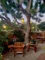 773 Orizaba - Photo 39