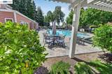 242 Eastridge Dr - Photo 28