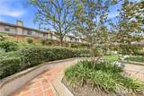 1569 Avenida Selva - Photo 48