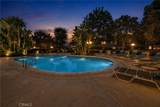 1569 Avenida Selva - Photo 50