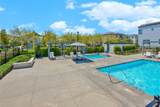 2412 Encanto Paseo - Photo 46