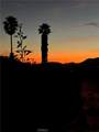 24385 Terreno - Photo 7