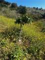 24385 Terreno - Photo 9