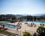 25600 Via Malpaso - Photo 21