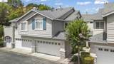 10706 Ian Ln - Photo 3