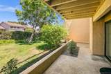 2538 Caminito Muirfield - Photo 37