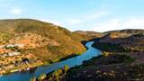 1208 Via Portovecchio - Photo 48