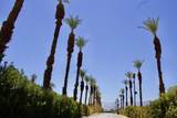 80870 California 111 - Photo 28
