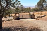3818 Guadalupe Fire Road - Photo 63