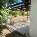 22465 Los Rogues - Photo 10