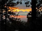 30080 Pixie - Photo 58