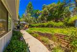 42395 Maples Lane - Photo 48