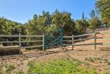 320 Barbara Street - Photo 30