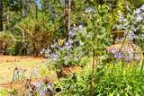 15004 Woodland Park - Photo 44