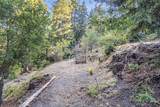 1045 Forest Way - Photo 13