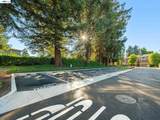 37886 Bright Cmn - Photo 37