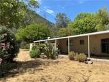 8910 Soda Bay Road - Photo 20
