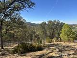 15569 Joseph Trail - Photo 11