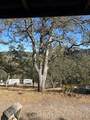 15569 Joseph Trail - Photo 6