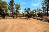 20855 Cinnamon Dr - Photo 28