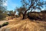 20855 Cinnamon Dr - Photo 31