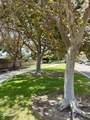421 Shoshone Street - Photo 30