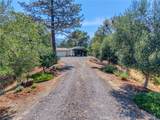 12431 Elk Mountain - Photo 3