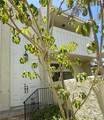 415 2nd - Photo 3