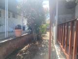 1440 Orange Avenue - Photo 19