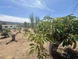 1843 Canyon Heights Road - Photo 31