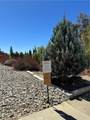 38070 Via La Colina - Photo 39
