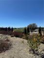38070 Via La Colina - Photo 41