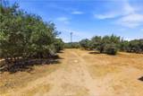 11124 Medlow - Photo 49