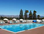 2354 Via Mariposa - Photo 34