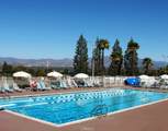 2354 Via Mariposa - Photo 37
