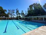 2354 Via Mariposa - Photo 38