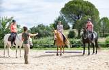 2354 Via Mariposa - Photo 40