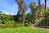 3635 Serra Road - Photo 38