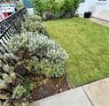 613 Poppy Avenue - Photo 3