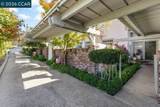 1675 El Nido - Photo 4