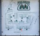 4822 Pine Forest Place - Photo 31