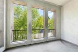 1826 Camino Leonor - Photo 38