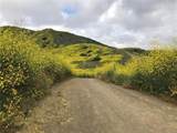 28263 Via Del Mar - Photo 47