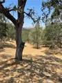 9025 Junipero Avenue - Photo 9