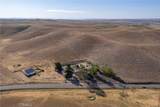 2500 Shandon - Photo 40