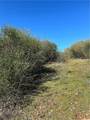 1234 Hog Ranch Rd - Photo 13