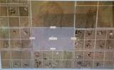 0 Estero - Photo 1