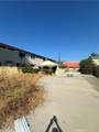 2310 Catalina Street - Photo 9