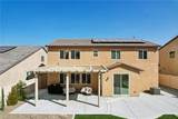 32427 Prairie Crossing Drive - Photo 47