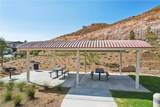 32427 Prairie Crossing Drive - Photo 57